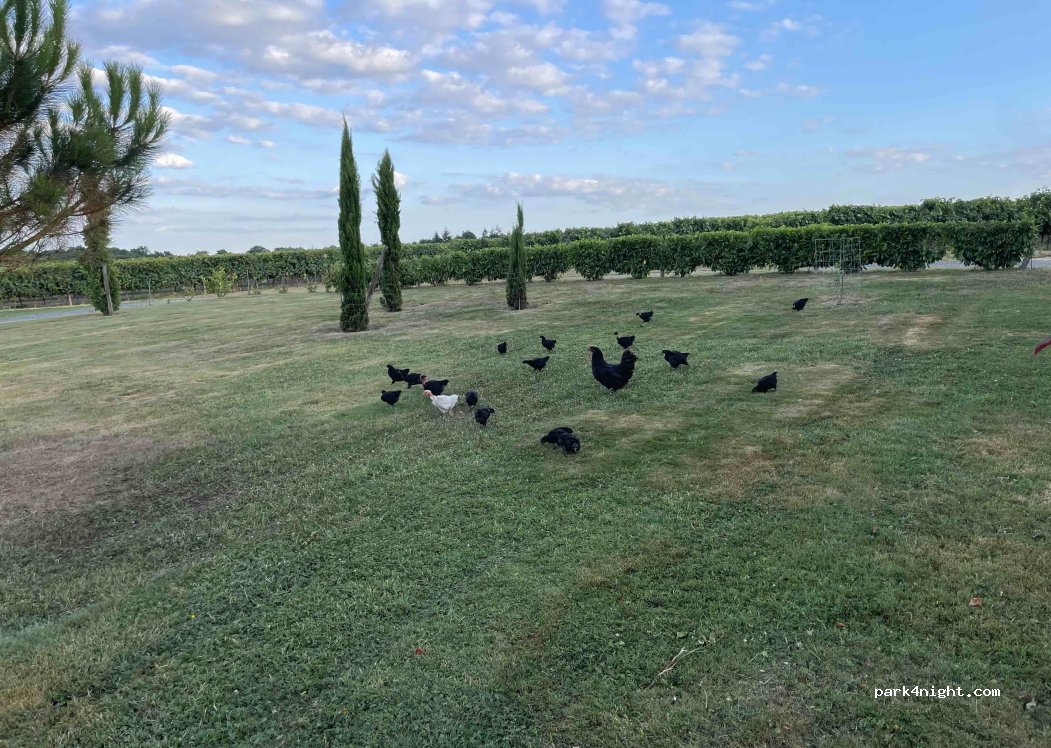 Domaine du Hour — foto 4
