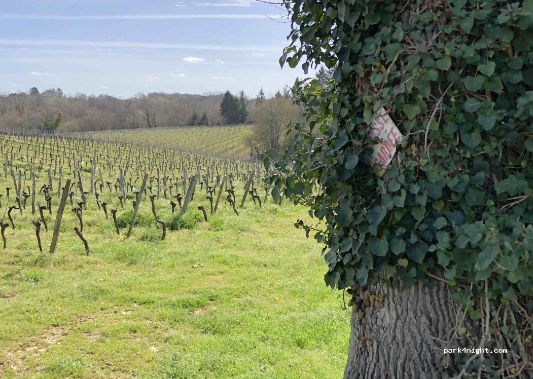 Domaine du Hour — foto 5