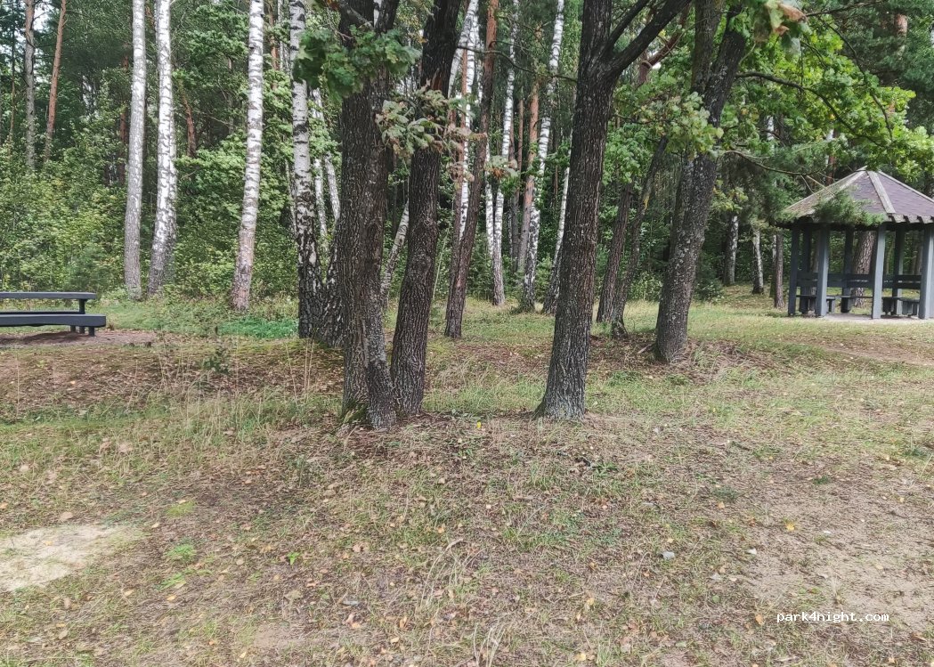 (56328) Grabučiškės - — foto 3