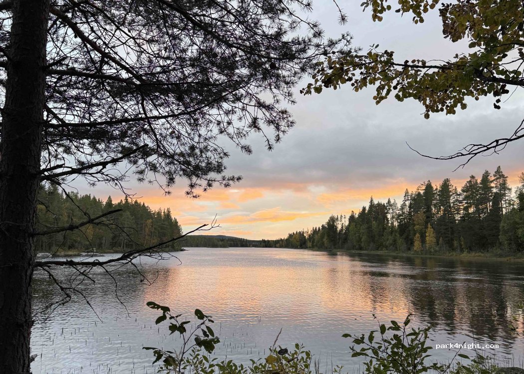 (84030) Rätan - — foto