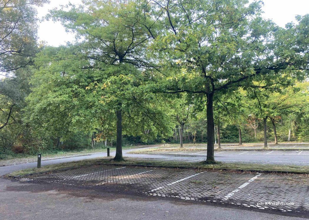 (2930) Brasschaat - Beukendreef — foto