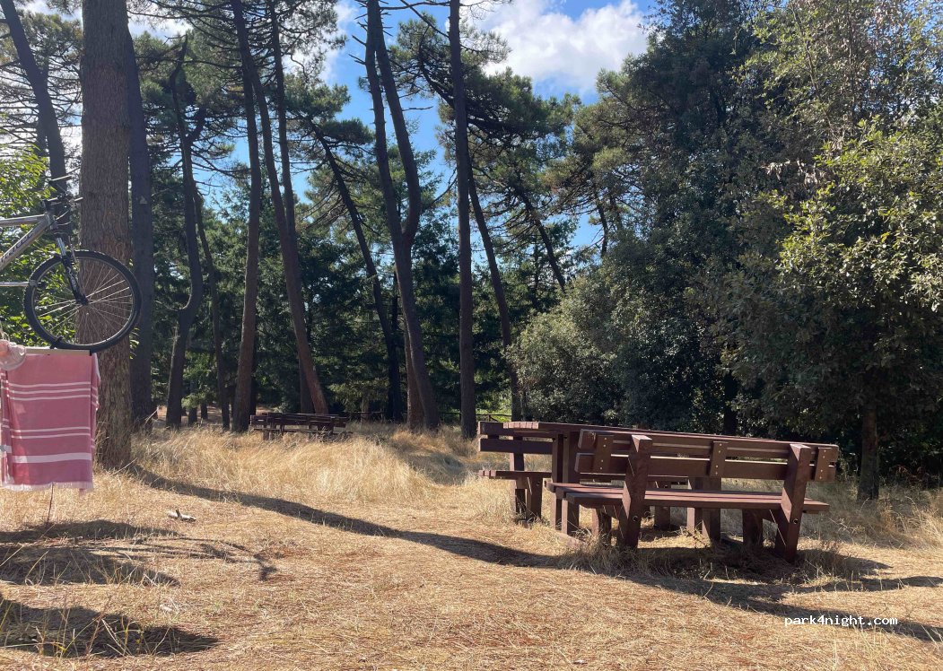 (57030) Campo nell'Elba - Strada Provinciale 37 — foto 2