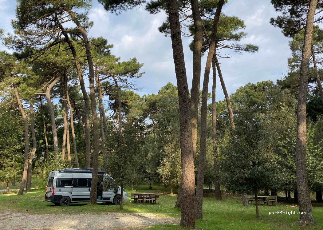 (57030) Campo nell'Elba - Strada Provinciale 37 — foto 3