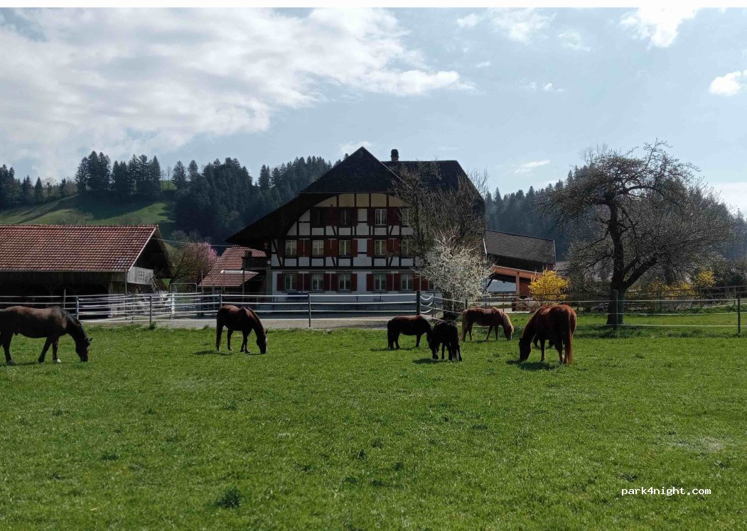 Pferdezentrum Grossmatt — foto