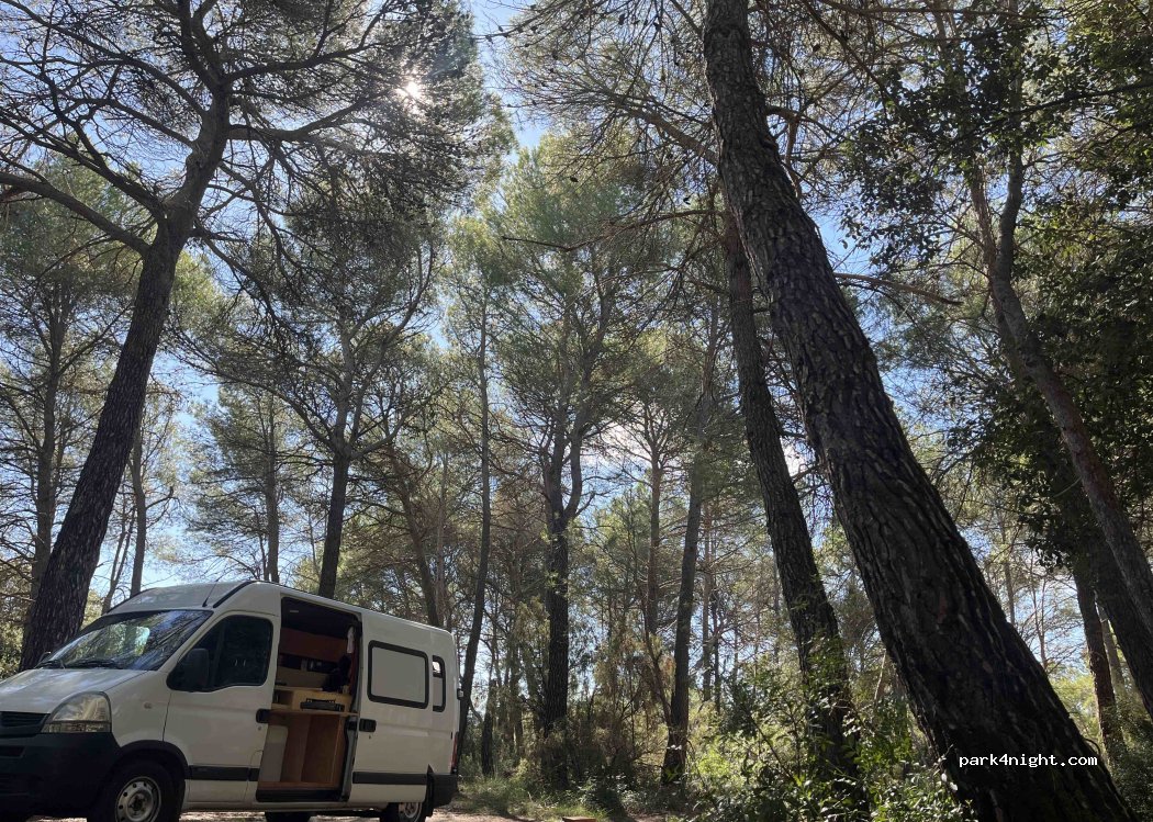(08212) Gallifa - Carretera de Gallifa — foto