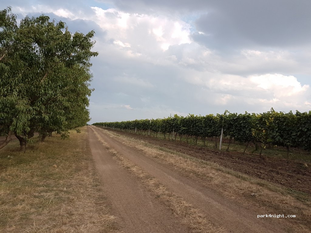 Château Purcari — foto 2