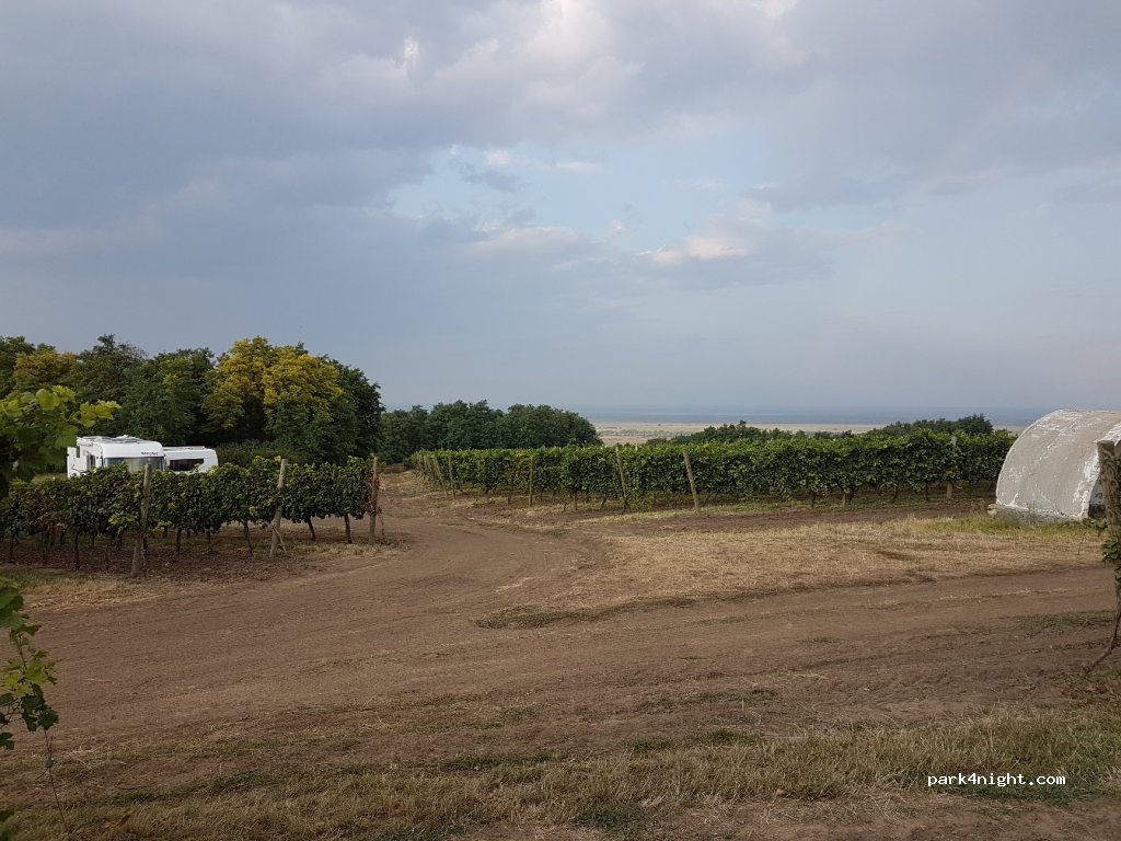Château Purcari — foto 3