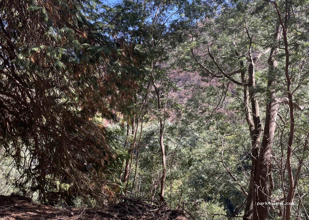 (3200-120) Lousã e Vilarinho - EN 236 — foto