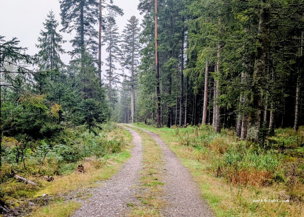 (78147) Vöhrenbach - K 5734 — foto 2