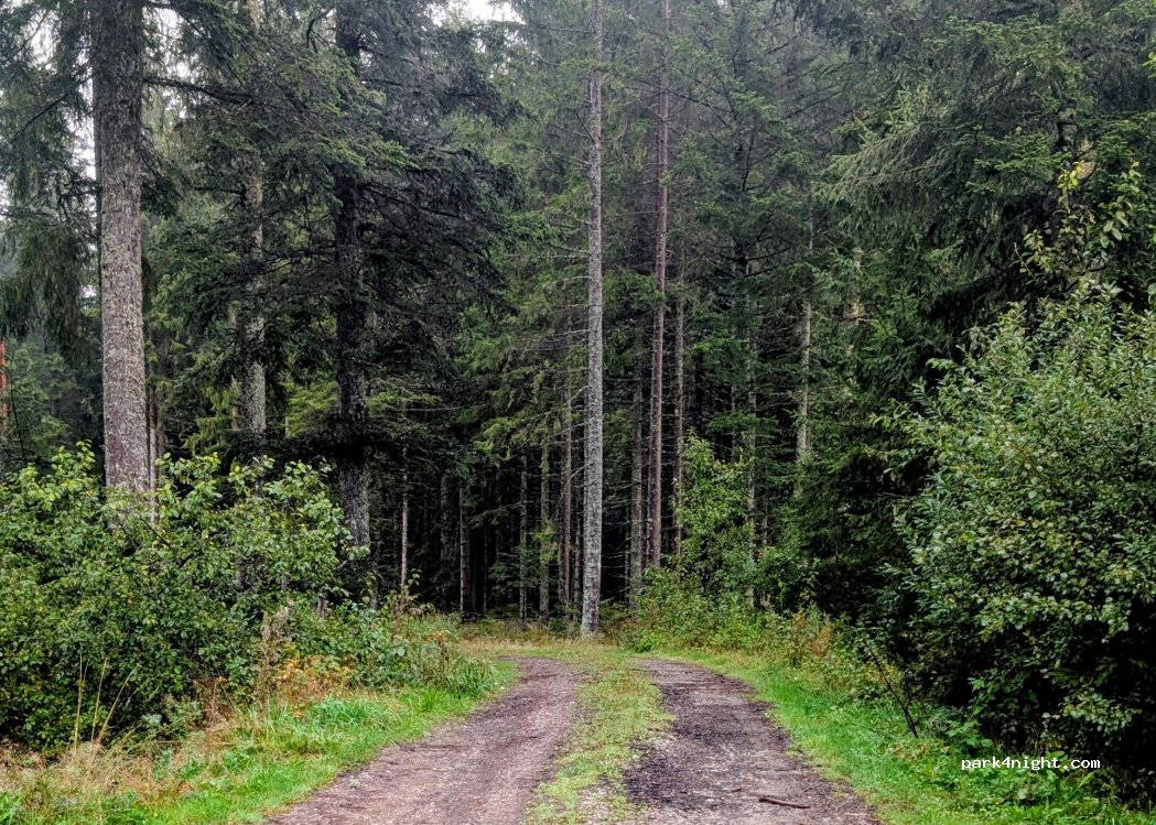(78147) Vöhrenbach - K 5734 — foto 3