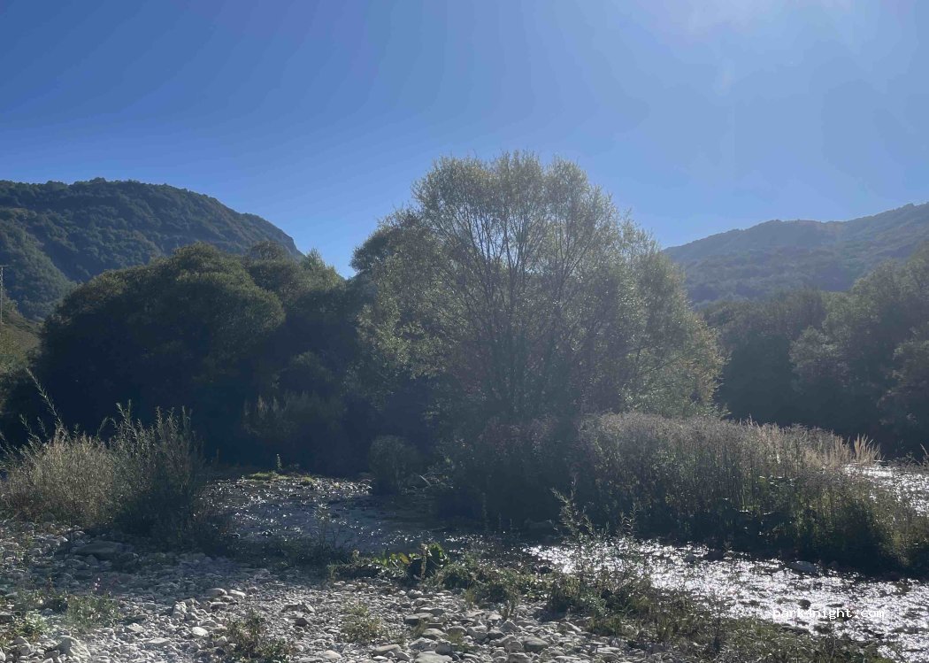 (81455) Šavnik - — foto 3