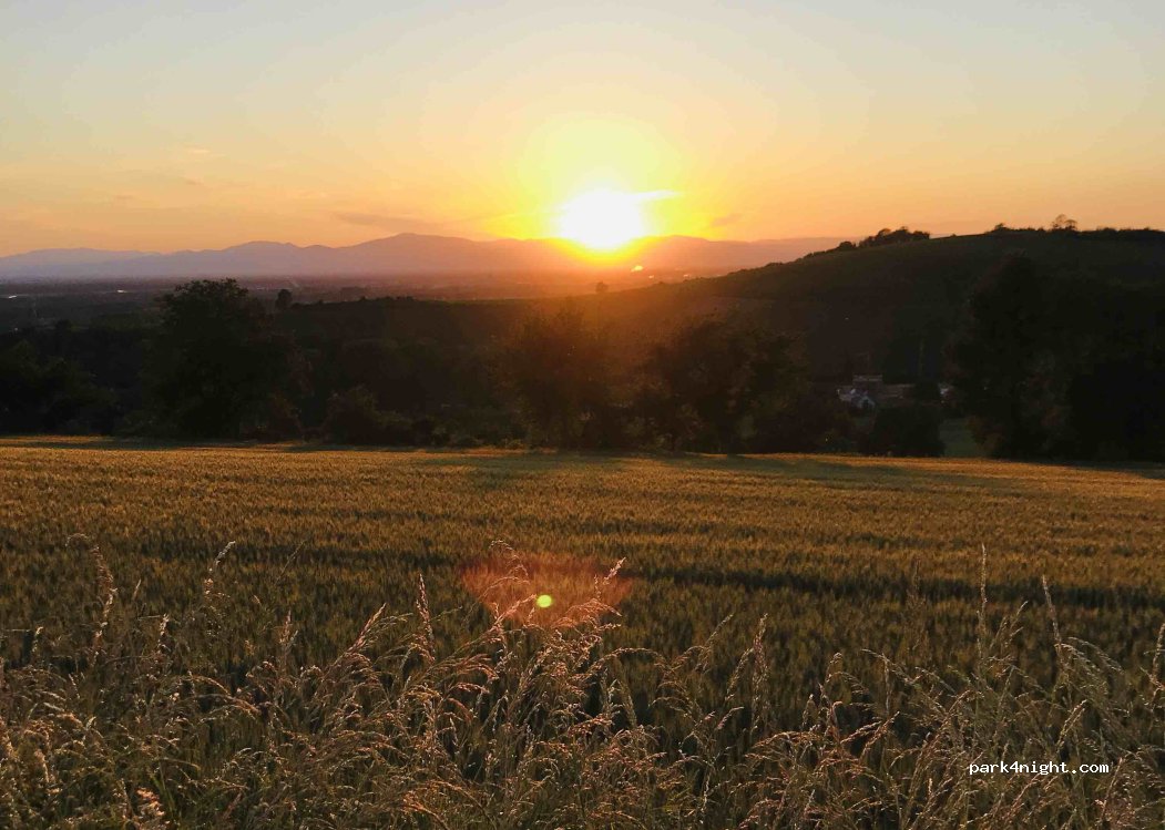 Weingut Sommerhalter — foto 2