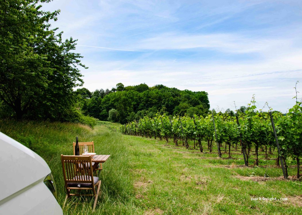Weingut Sommerhalter — foto 3