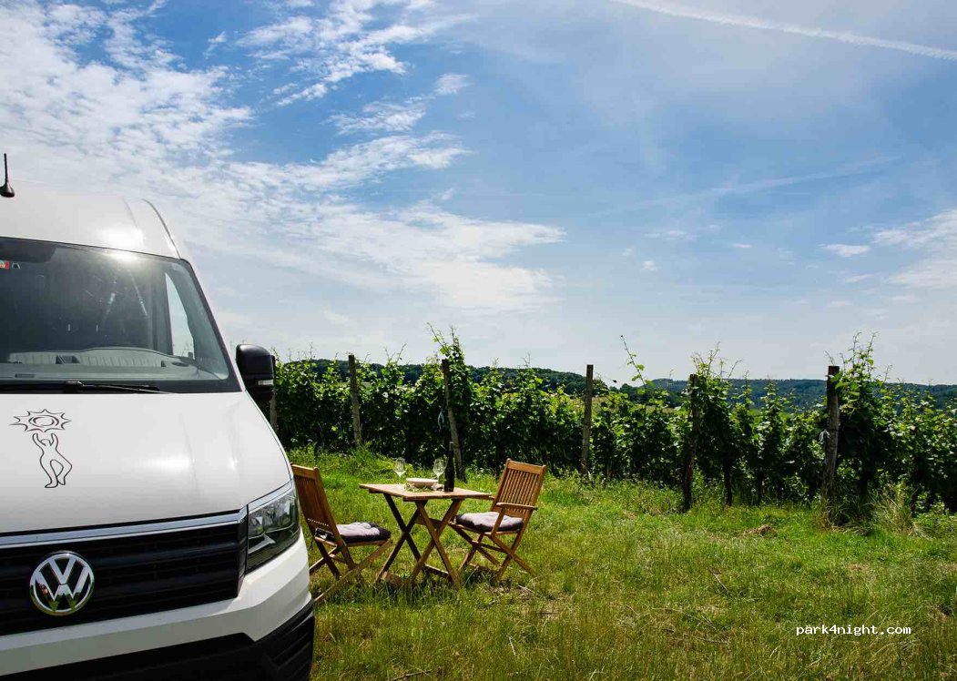 Weingut Sommerhalter — foto 4