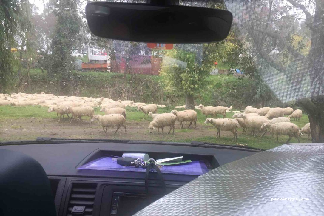 Agricoltura Nuova - Valle di Perna — foto 2
