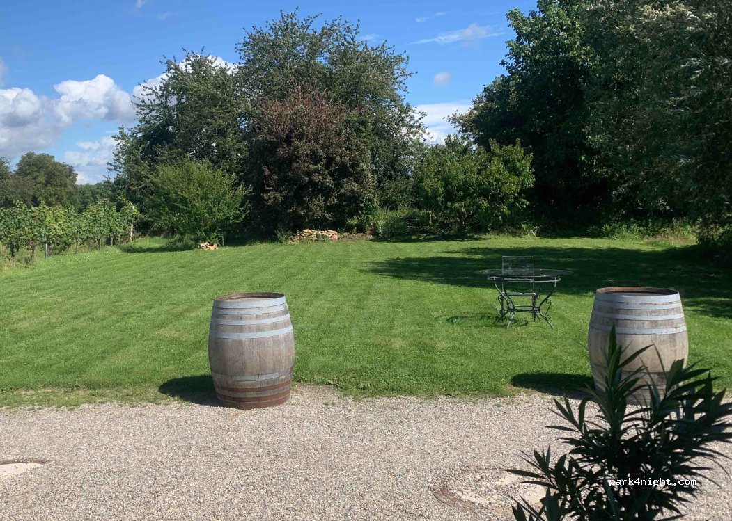 Weingut Edwin Baumann — foto