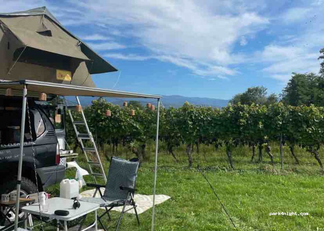 Weingut Edwin Baumann — foto 2