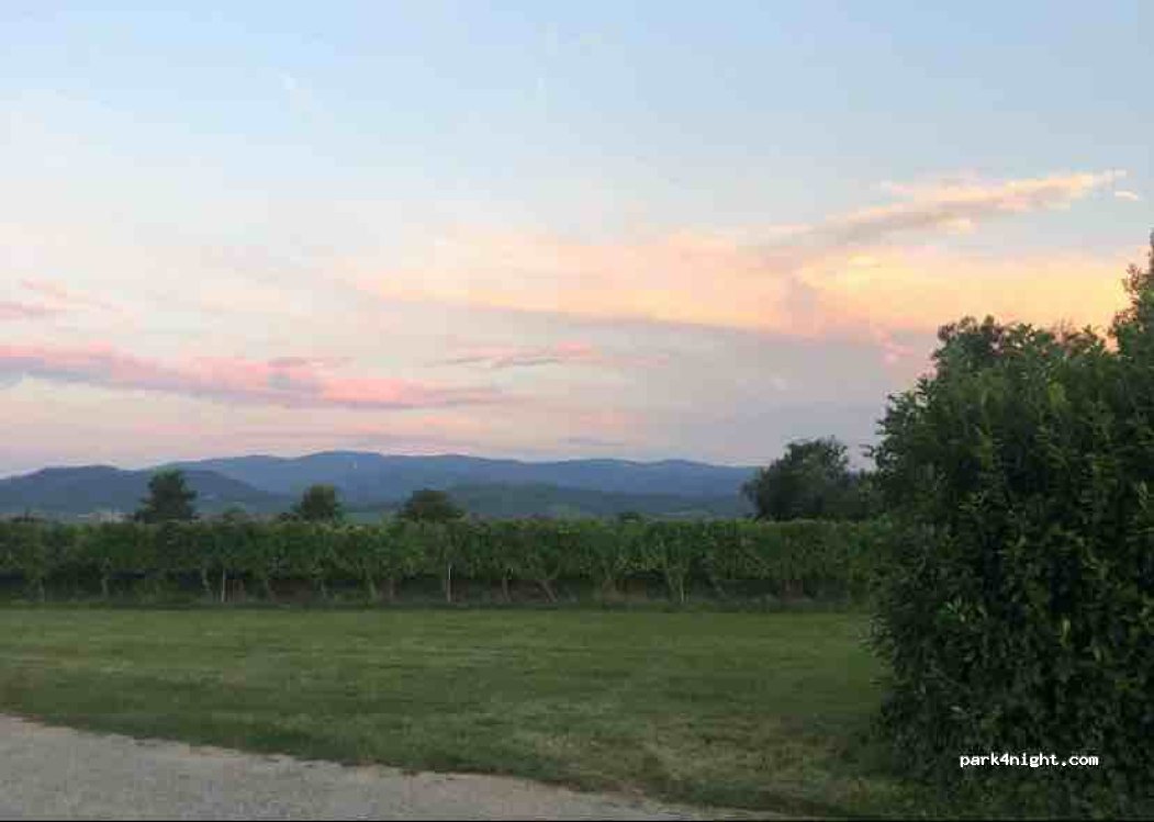 Weingut Edwin Baumann — foto 3