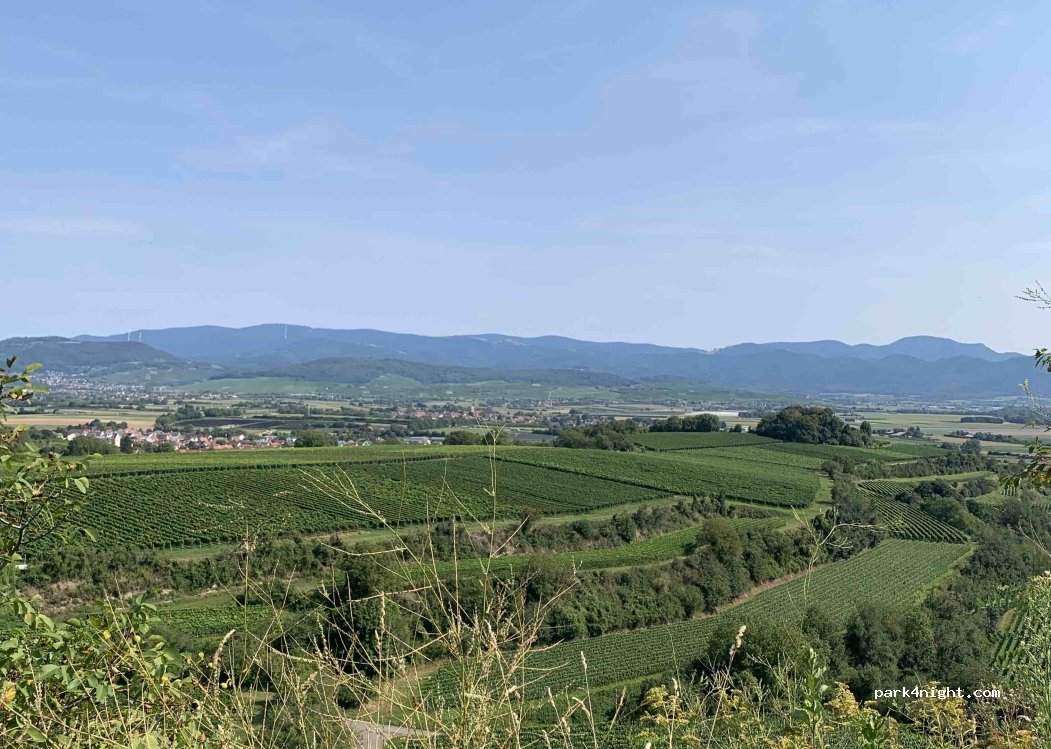 Weingut Edwin Baumann — foto 5