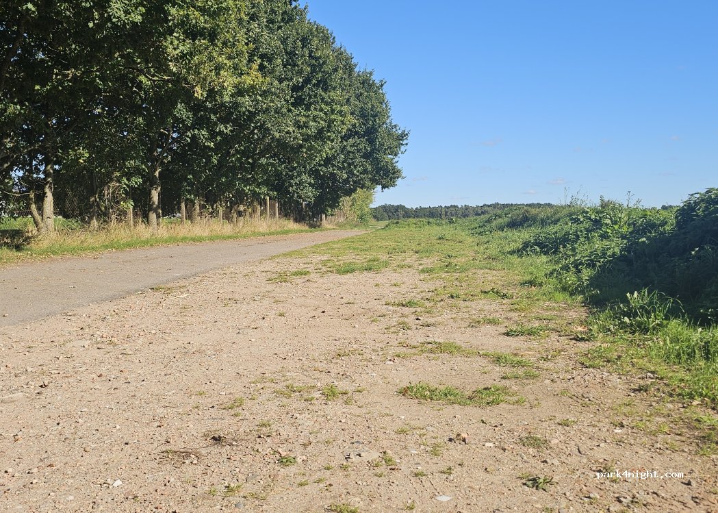 (19071) Grambow - Tannenburger Weg — foto