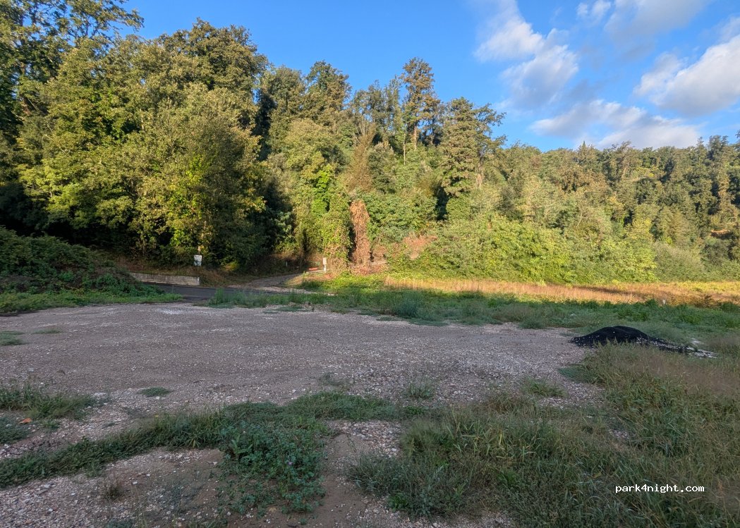 (56024) San Miniato - Via XXIV Maggio — foto