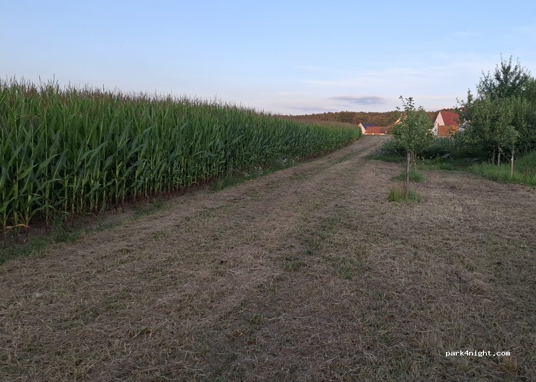 (91486) Uehlfeld - — foto