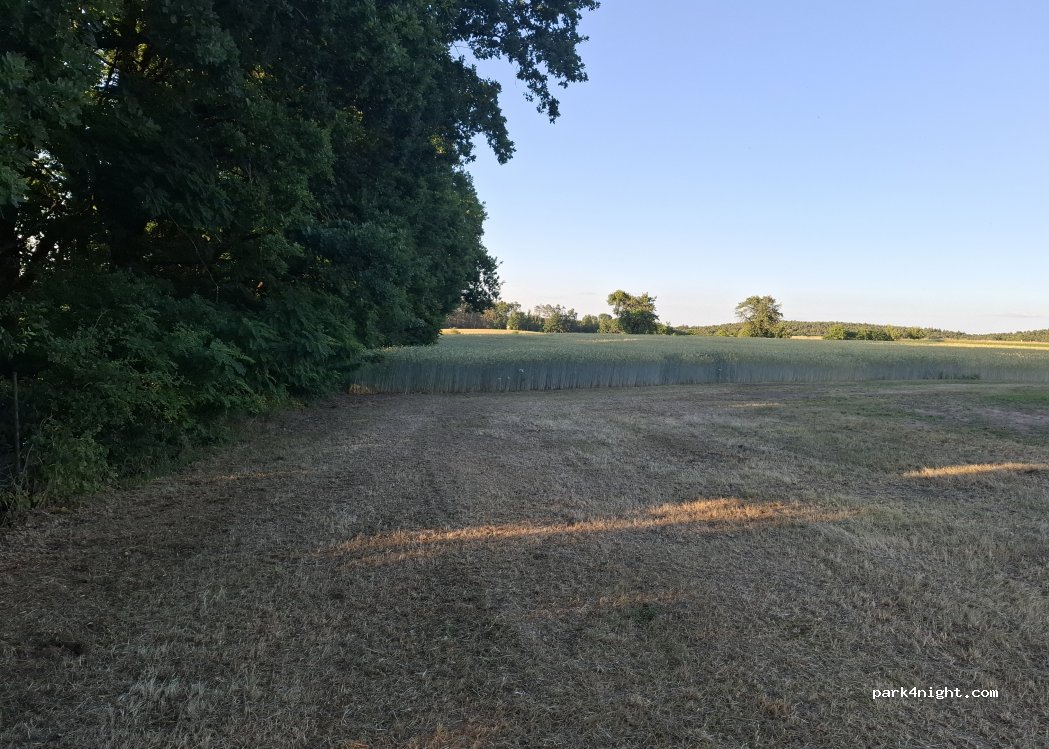 (91486) Uehlfeld - — foto 2