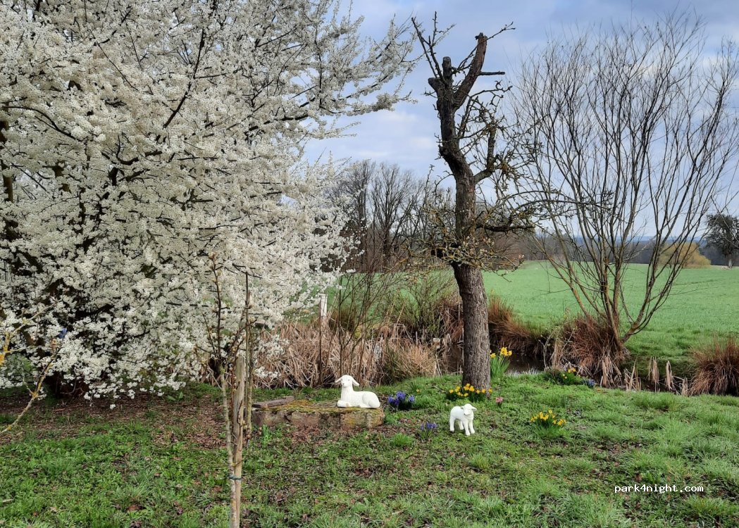 (91486) Uehlfeld - — foto 3