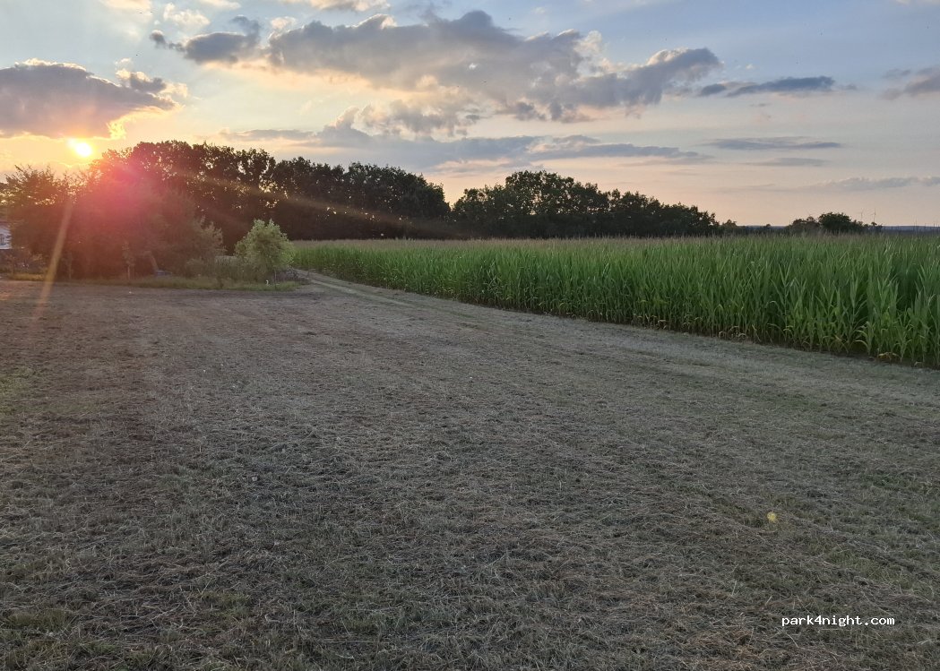 (91486) Uehlfeld - — foto 4