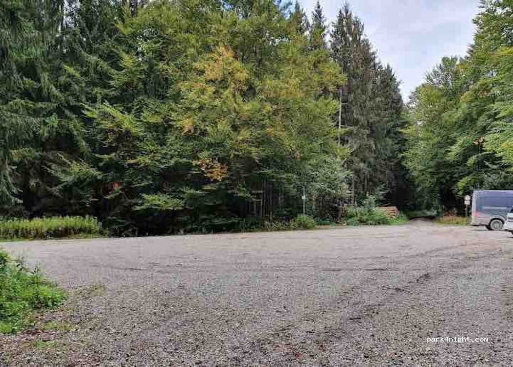 (85560) Ebersberger Forst - Ludwig-Geräumt — foto