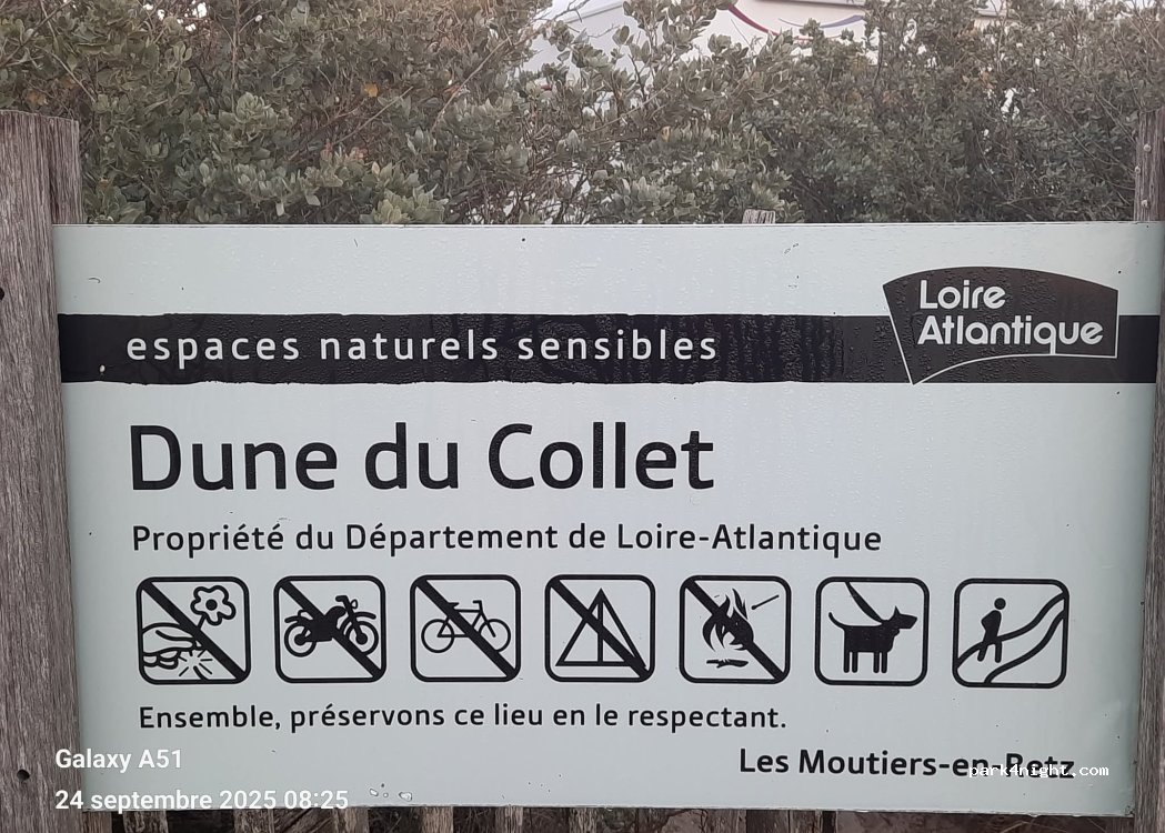 (44760) Les Moutiers-en-Retz - Route du Collet — foto