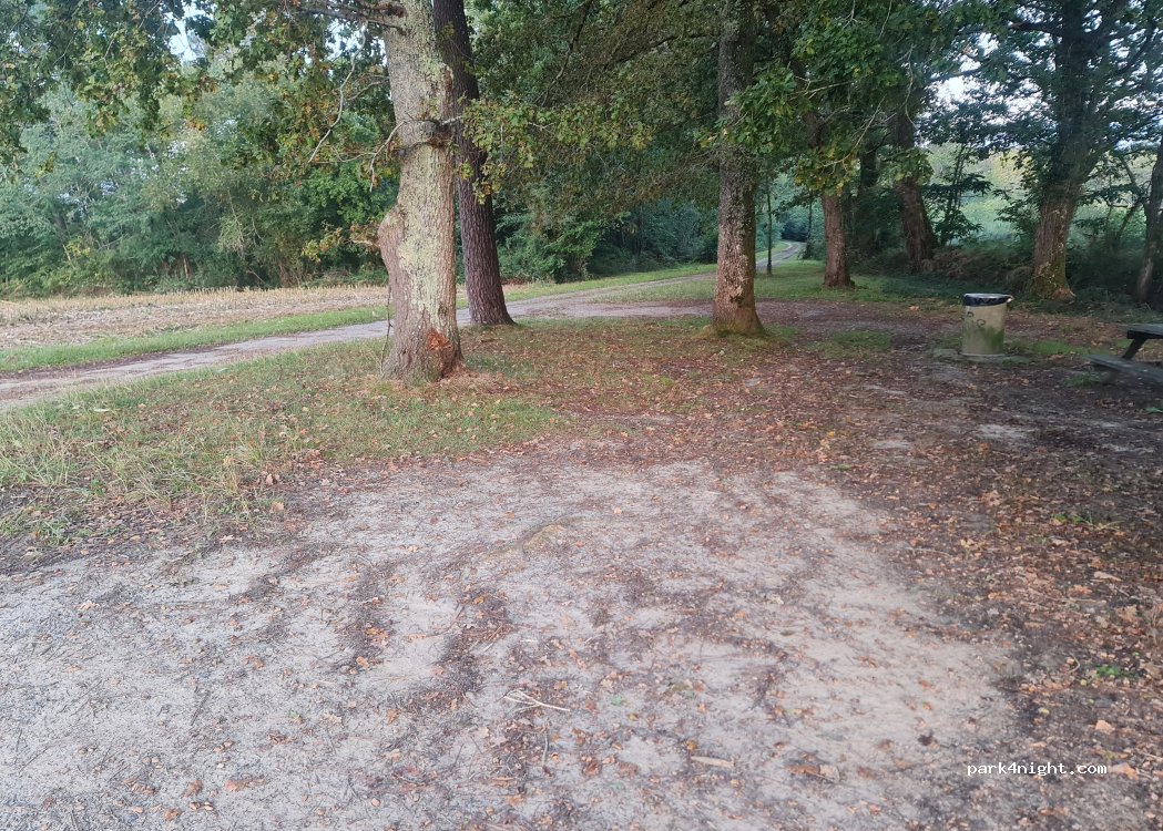 (40390) Saint-Martin-de-Hinx - Route du Houna — foto 2
