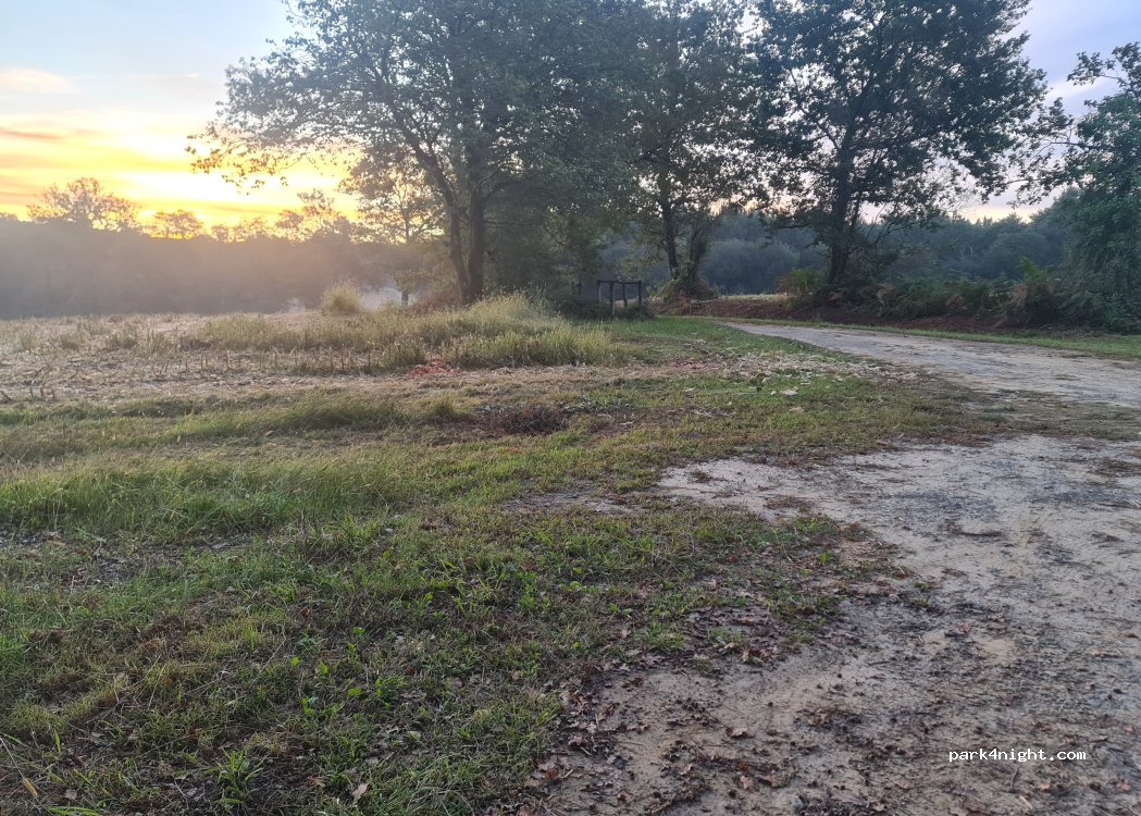 (40390) Saint-Martin-de-Hinx - Route du Houna — foto 3