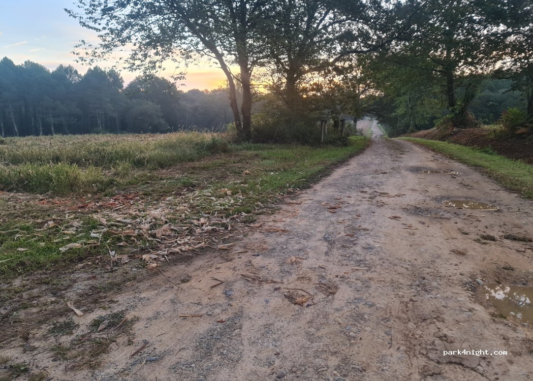 (40390) Saint-Martin-de-Hinx - Route du Houna — foto 4