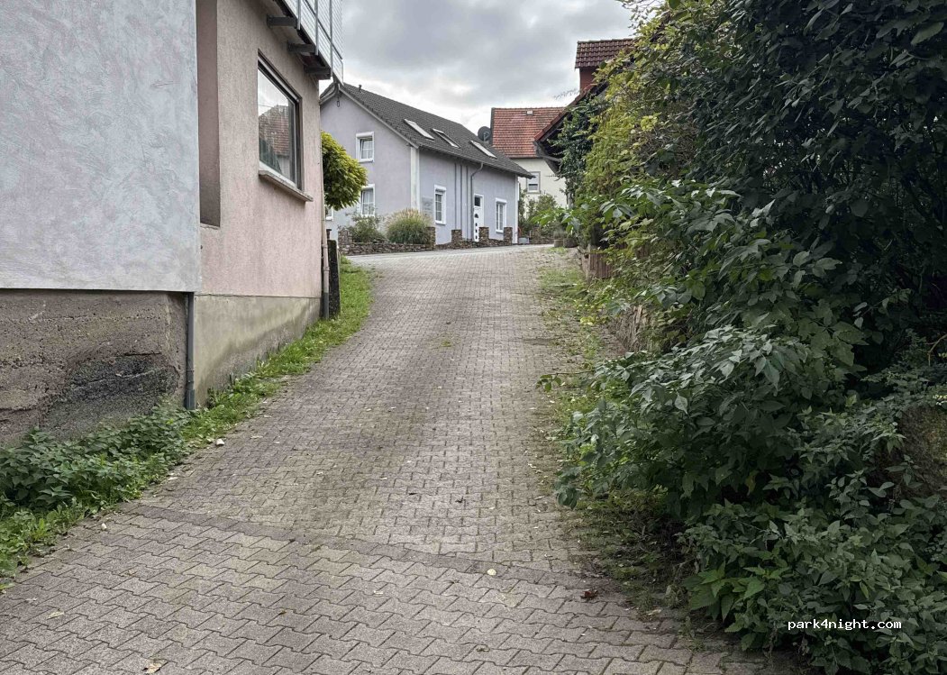 (55435) Gau-Algesheim - Laurenziberg — foto