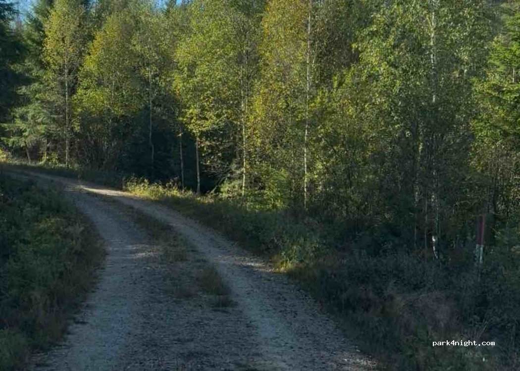 (331 92) Värnamo - — foto