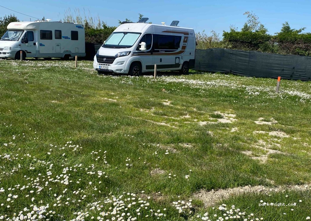 (48124) Lido di Dante - 208 Via Marabina — foto 5