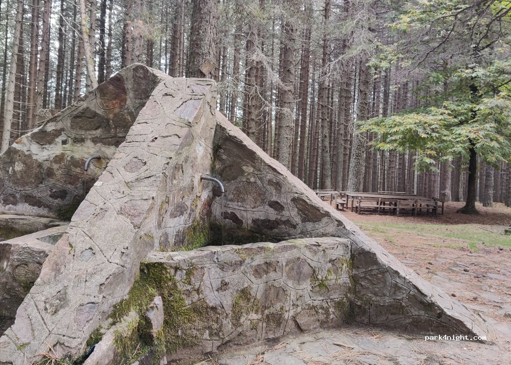(89012) Delianuova - Unnamed Road — foto