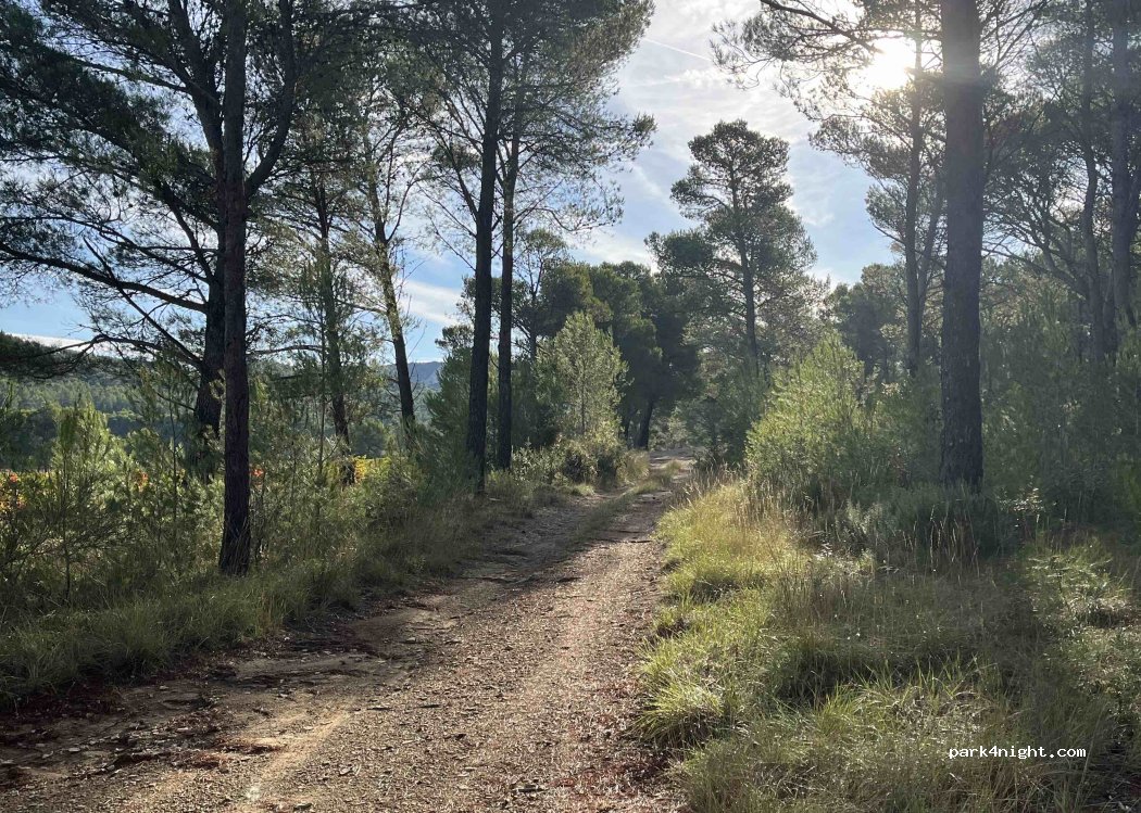 (13890) Mouriès - D 24 — foto
