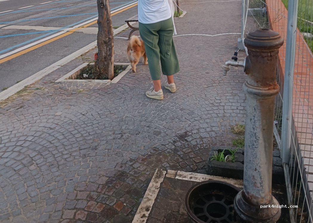 (00042) Anzio - Via Fanciulla d'Anzio — foto 2