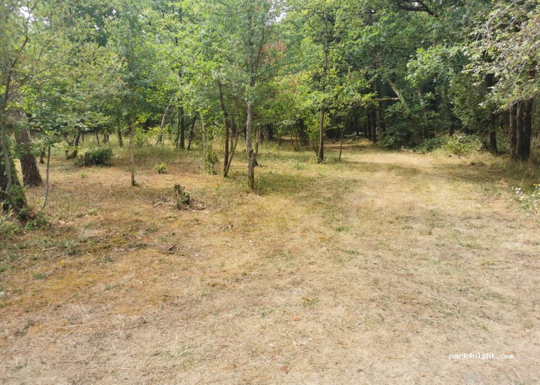 LA Cabane Sauvage — foto