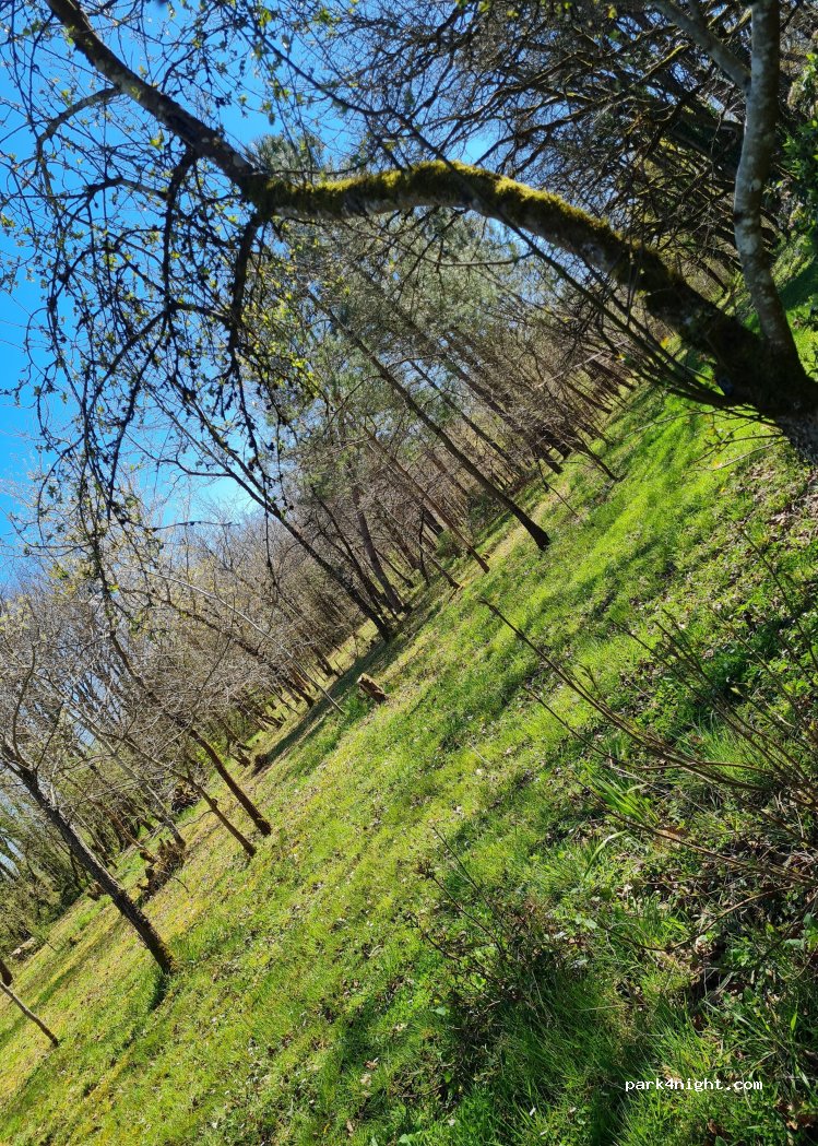 LA Cabane Sauvage — foto 5