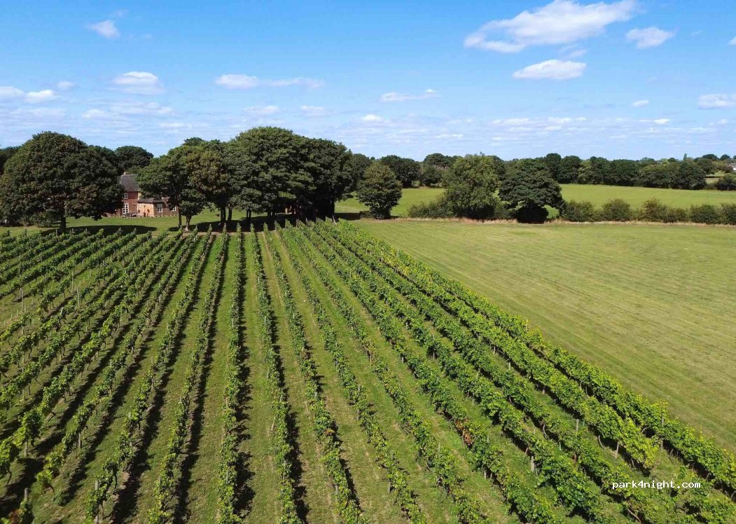 Sealwood Estate & Vineyard — foto 2