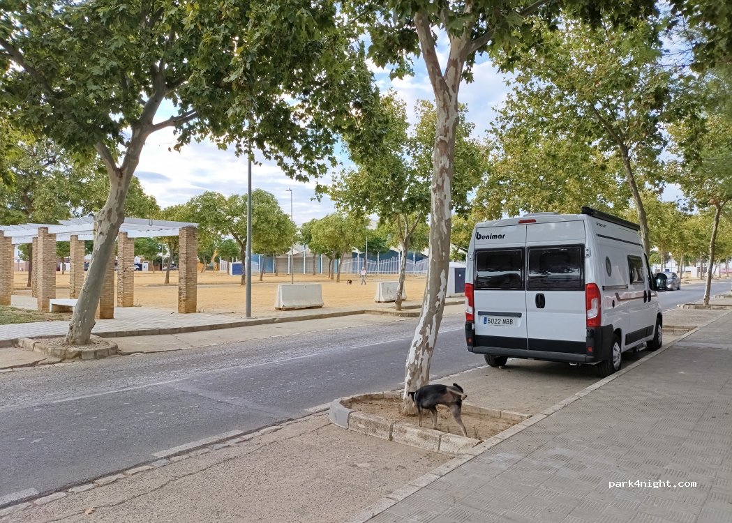 (41840) Pilas - Calle Tipuanas — foto