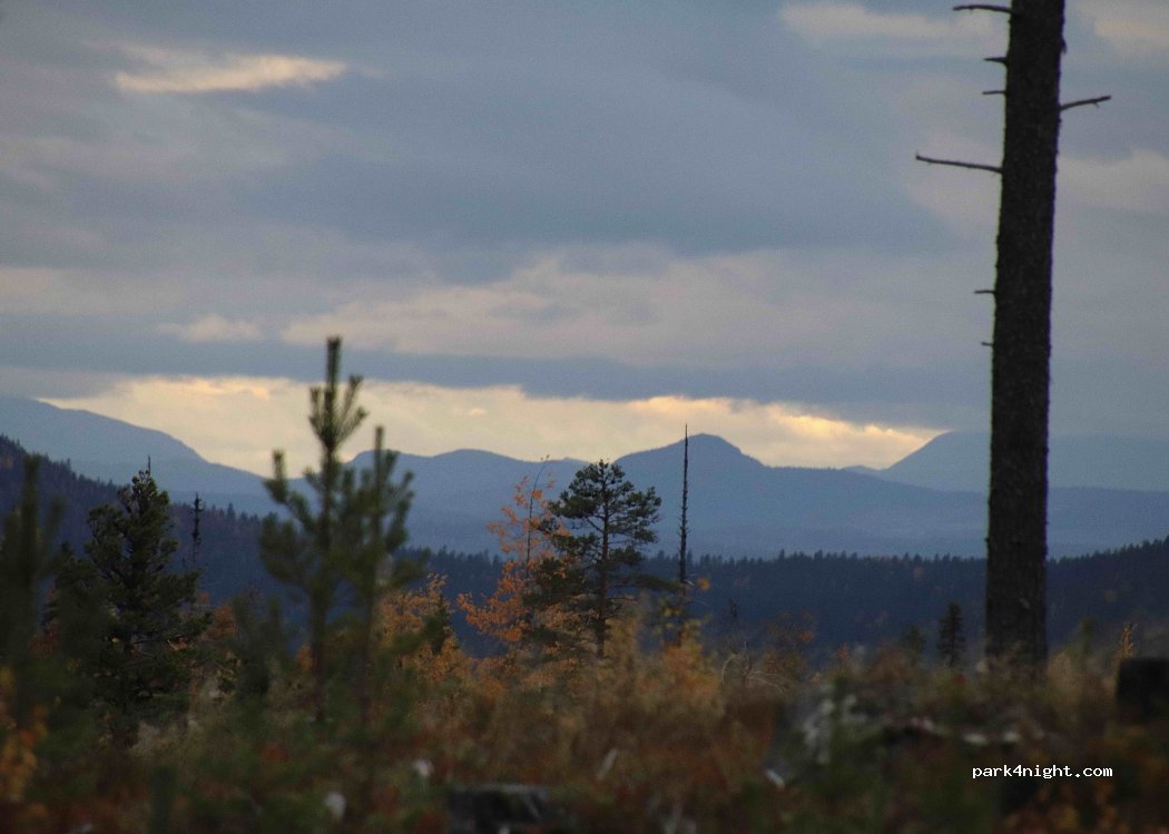 () Svarttrask - Unnamed Road — foto