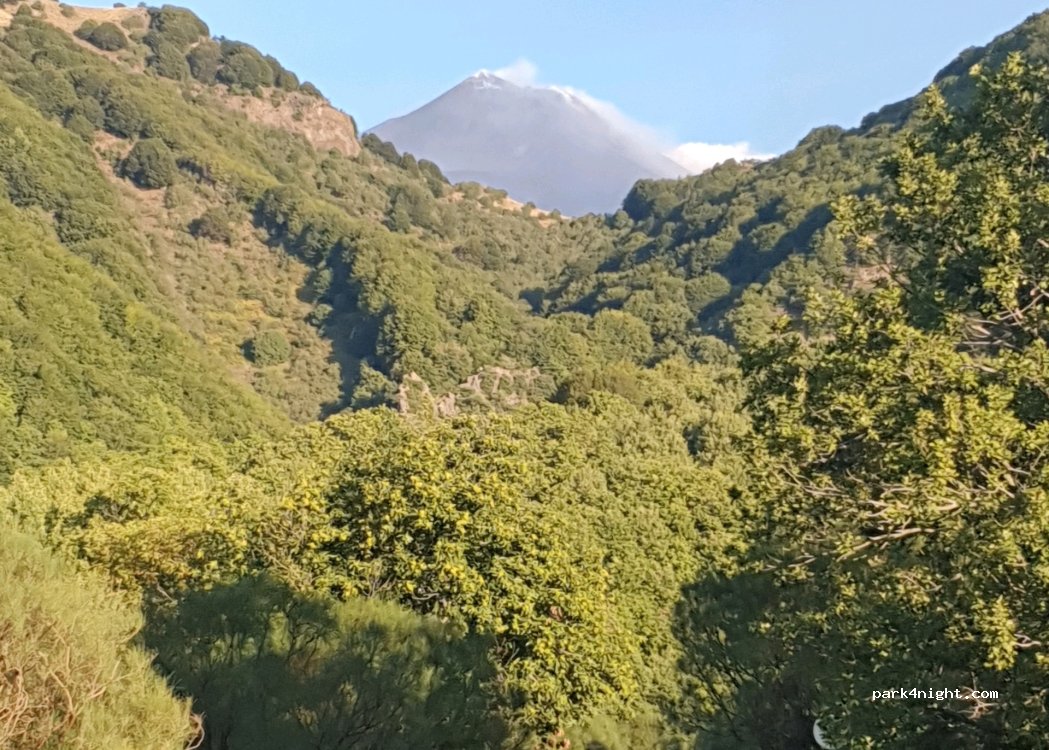 (95019) Zafferana Etnea - Strada di bonifica Cassone-Monte Pomiciaro-Piano del Vescovo — foto 3