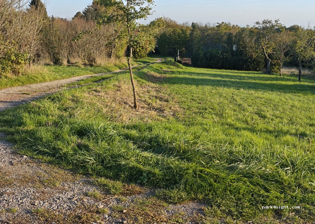 (66271) Kleinblittersdorf - Wehrholzer Weg — foto