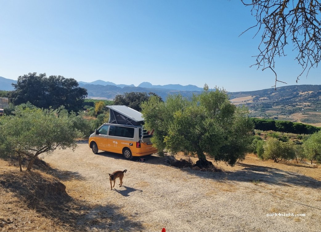 Séjour dans une Oliveraie — foto