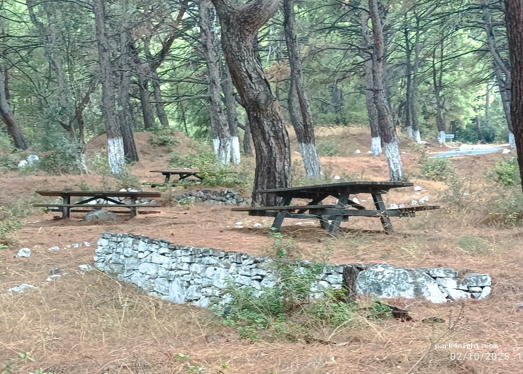 (83200) Municipal Unit of Vathy - Διακλάδωση Άμπελου — foto 2