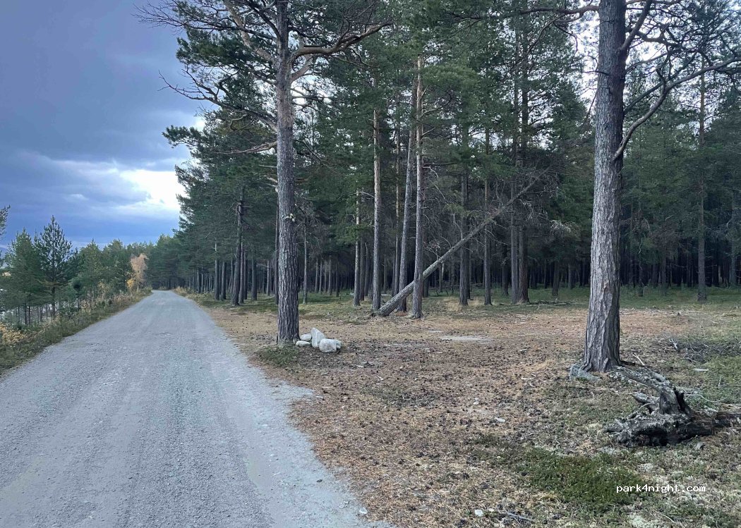 (2666) Lora - Forbygginga — foto 2